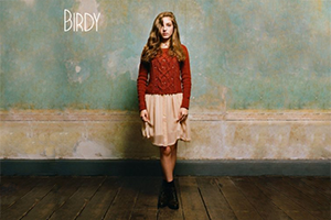 300x200-Birdy.png