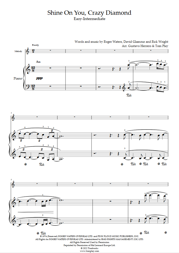 shine-on-you-crazy-diamond-easy-intermediate-level-with-orchestra